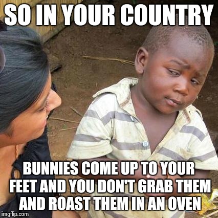 Third World Skeptical Kid Meme | SO IN YOUR COUNTRY BUNNIES COME UP TO YOUR FEET AND YOU DON'T GRAB THEM AND ROAST THEM IN AN OVEN | image tagged in memes,third world skeptical kid | made w/ Imgflip meme maker