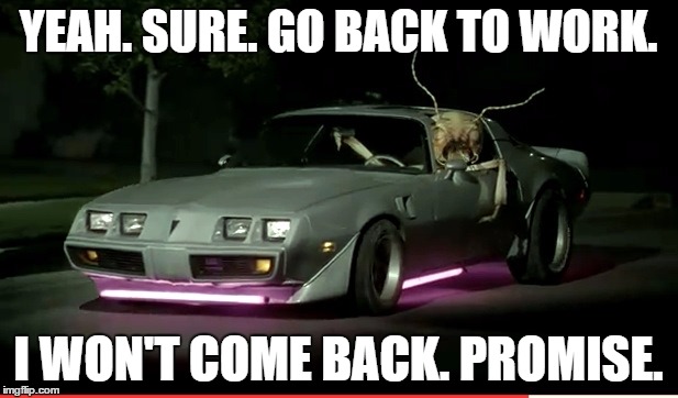 YEAH. SURE. GO BACK TO WORK. I WON'T COME BACK. PROMISE. | image tagged in bug | made w/ Imgflip meme maker