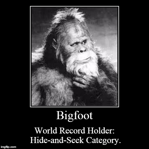 Bigfoot-and-seek? | image tagged in funny,demotivationals,bigfoot | made w/ Imgflip demotivational maker