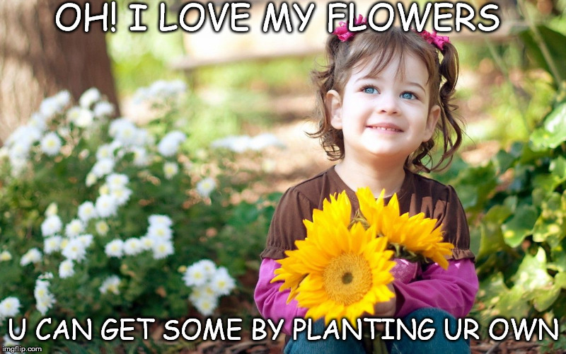 my flowers | OH! I LOVE MY FLOWERS U CAN GET SOME BY PLANTING UR OWN | image tagged in nature | made w/ Imgflip meme maker