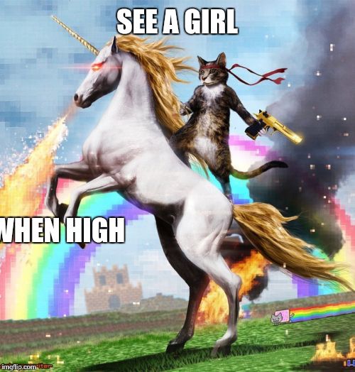 Welcome To The Internets Meme | SEE A GIRL WHEN HIGH | image tagged in memes,welcome to the internets | made w/ Imgflip meme maker