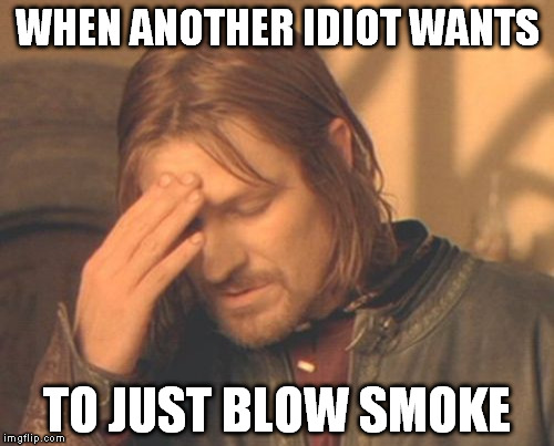 Frustrated Boromir Meme | WHEN ANOTHER IDIOT WANTS TO JUST BLOW SMOKE | image tagged in memes,frustrated boromir | made w/ Imgflip meme maker