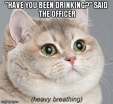 Heavy Breathing Cat Meme | "HAVE YOU BEEN DRINKING?"
SAID THE OFFICER | image tagged in memes,heavy breathing cat | made w/ Imgflip meme maker