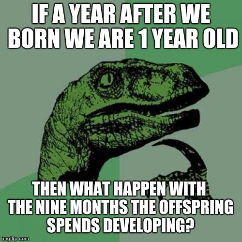 Philosoraptor | IF A YEAR AFTER WE BORN WE ARE 1 YEAR OLD THEN WHAT HAPPEN WITH THE NINE MONTHS THE OFFSPRING SPENDS DEVELOPING? | image tagged in memes,philosoraptor | made w/ Imgflip meme maker