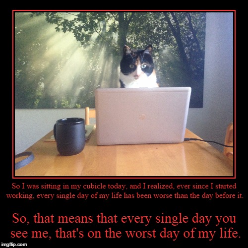 Case of the Mondays | image tagged in funny,demotivationals | made w/ Imgflip demotivational maker