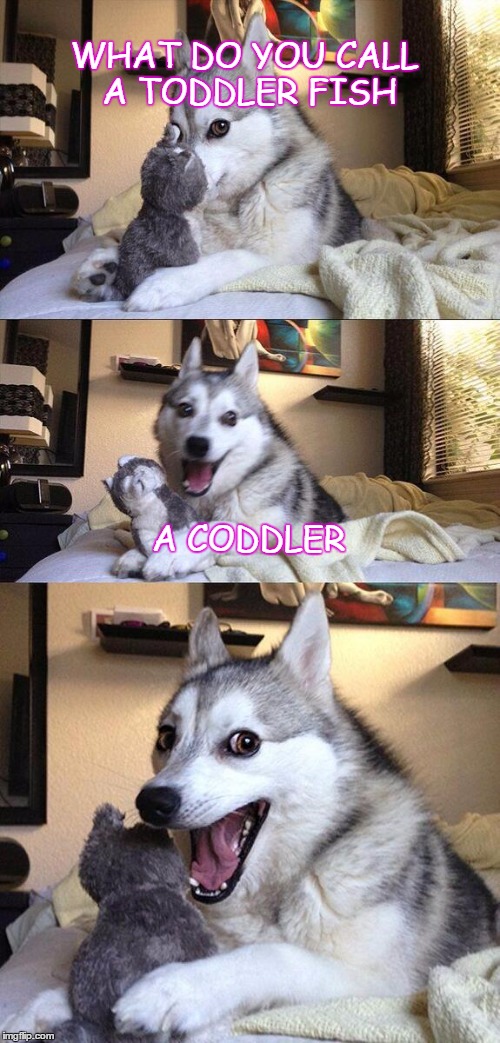 Bad Pun Dog Meme | WHAT DO YOU CALL A TODDLER FISH A CODDLER | image tagged in memes,bad pun dog | made w/ Imgflip meme maker