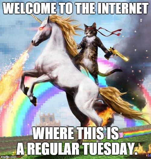Welcome To The Internets Meme | WELCOME TO THE INTERNET WHERE THIS IS A REGULAR TUESDAY. | image tagged in memes,welcome to the internets | made w/ Imgflip meme maker