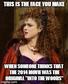 THIS IS THE FACE YOU MAKE WHEN SOMEONE THINKS THAT THE 2014 MOVIE WAS THE ORIGINAL "INTO THE WOODS" | made w/ Imgflip meme maker