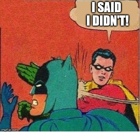 robin strikes back | I SAID I DIDN'T! | image tagged in robin strikes back | made w/ Imgflip meme maker