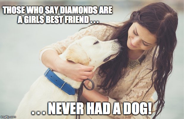 Forget diamonds, get me a doggie! | THOSE WHO SAY DIAMONDS ARE A GIRLS BEST FRIEND . . . . . . NEVER HAD A DOG! | image tagged in dogs,best friends | made w/ Imgflip meme maker