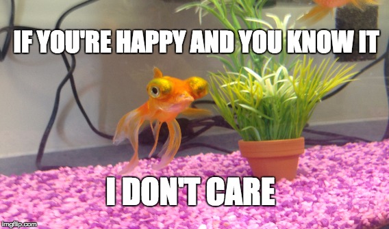 IF YOU'RE HAPPY AND YOU KNOW IT I DON'T CARE | image tagged in grumpy fish,sad fish,bob,meme | made w/ Imgflip meme maker