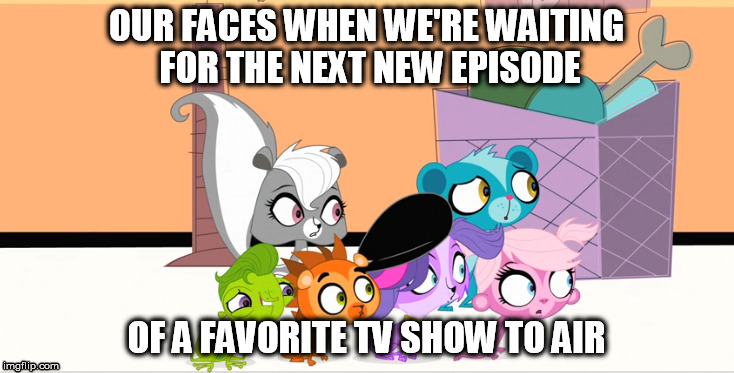 Waiting Pets | OUR FACES WHEN WE'RE WAITING FOR THE NEXT NEW EPISODE OF A FAVORITE TV SHOW TO AIR | image tagged in waiting | made w/ Imgflip meme maker