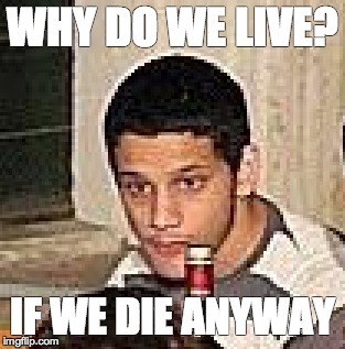 WHY DO WE LIVE? IF WE DIE ANYWAY | image tagged in serious,smashed,questions life | made w/ Imgflip meme maker