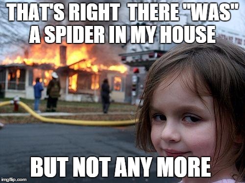 Disaster Girl | THAT'S RIGHT  THERE "WAS" A SPIDER IN MY HOUSE BUT NOT ANY MORE | image tagged in memes,disaster girl | made w/ Imgflip meme maker