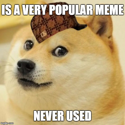 Doge Meme | IS A VERY POPULAR MEME NEVER USED | image tagged in memes,doge,scumbag | made w/ Imgflip meme maker