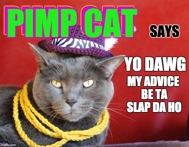 PIMP CAT PIMP CAT SAYS YO DAWG MY ADVICE BE TA SLAP DA HO | image tagged in pimp cat big | made w/ Imgflip meme maker