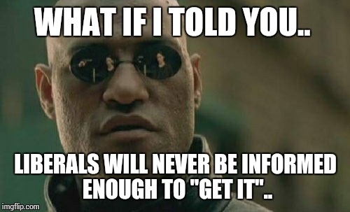 Matrix Morpheus Meme | WHAT IF I TOLD YOU.. LIBERALS WILL NEVER BE INFORMED ENOUGH TO "GET IT".. | image tagged in memes,matrix morpheus | made w/ Imgflip meme maker