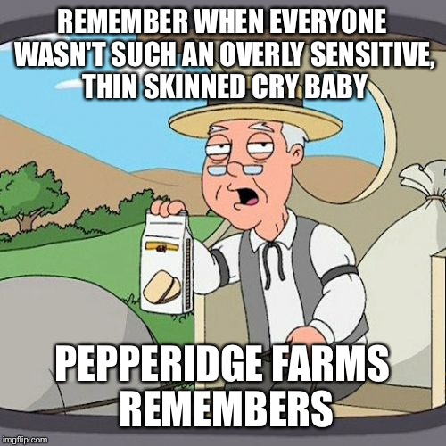 Pepperidge Farm Remembers Meme | REMEMBER WHEN EVERYONE WASN'T SUCH AN OVERLY SENSITIVE, THIN SKINNED CRY BABY PEPPERIDGE FARMS REMEMBERS | image tagged in memes,pepperidge farm remembers | made w/ Imgflip meme maker