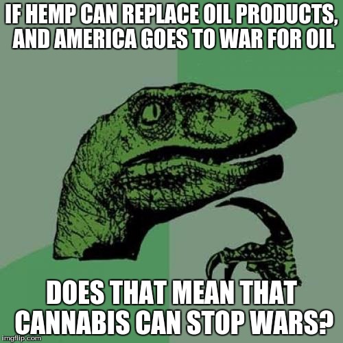 Philosoraptor | IF HEMP CAN REPLACE OIL PRODUCTS, AND AMERICA GOES TO WAR FOR OIL DOES THAT MEAN THAT CANNABIS CAN STOP WARS? | image tagged in memes,philosoraptor | made w/ Imgflip meme maker