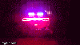 image tagged in gifs | made w/ Imgflip video-to-gif maker