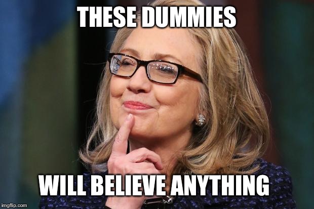 Hillary Clinton | THESE DUMMIES WILL BELIEVE ANYTHING | image tagged in hillary clinton | made w/ Imgflip meme maker