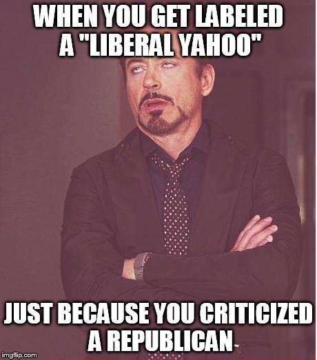 Too bad there aren't any other options.  Oh wait...... | WHEN YOU GET LABELED A "LIBERAL YAHOO" JUST BECAUSE YOU CRITICIZED A REPUBLICAN | image tagged in memes,face you make robert downey jr,funny,political,democrats,republicans | made w/ Imgflip meme maker