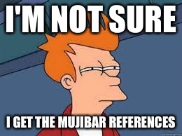 unsure fry | I'M NOT SURE I GET THE MUJIBAR REFERENCES | image tagged in unsure fry | made w/ Imgflip meme maker