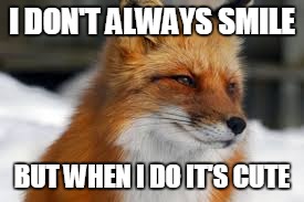I DON'T ALWAYS SMILE BUT WHEN I DO IT'S CUTE | image tagged in funny memes | made w/ Imgflip meme maker