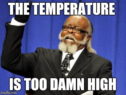 THE TEMPERATURE IS TOO DAMN HIGH | image tagged in memes,too damn high | made w/ Imgflip meme maker