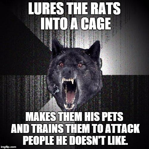 LURES THE RATS INTO A CAGE MAKES THEM HIS PETS AND TRAINS THEM TO ATTACK PEOPLE HE DOESN'T LIKE. | made w/ Imgflip meme maker