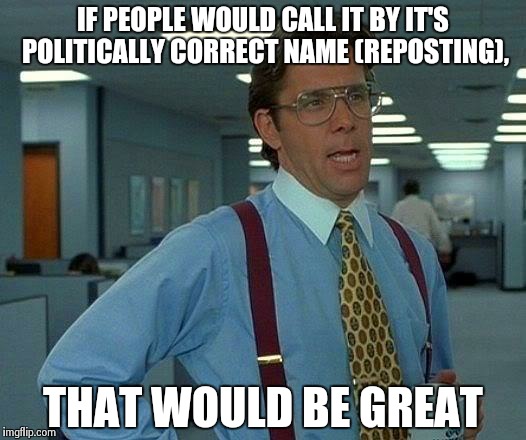 That Would Be Great Meme | IF PEOPLE WOULD CALL IT BY IT'S POLITICALLY CORRECT NAME (REPOSTING), THAT WOULD BE GREAT | image tagged in memes,that would be great | made w/ Imgflip meme maker