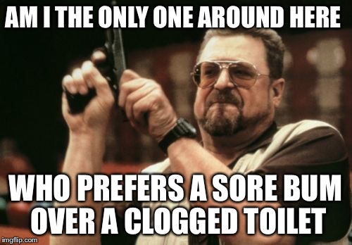 Am I The Only One Around Here Meme | AM I THE ONLY ONE AROUND HERE WHO PREFERS A SORE BUM OVER A CLOGGED TOILET | image tagged in memes,am i the only one around here | made w/ Imgflip meme maker