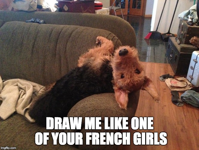DRAW ME LIKE ONE OF YOUR FRENCH GIRLS | image tagged in airedaleterrier | made w/ Imgflip meme maker
