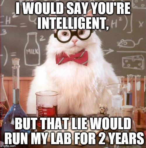 Science Cat | I WOULD SAY YOU'RE INTELLIGENT, BUT THAT LIE WOULD RUN MY LAB FOR 2 YEARS | image tagged in science cat,lies | made w/ Imgflip meme maker