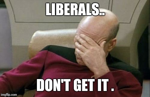 Captain Picard Facepalm Meme | LIBERALS.. DON'T GET IT . | image tagged in memes,captain picard facepalm | made w/ Imgflip meme maker
