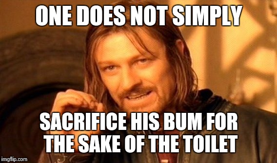 One Does Not Simply Meme | ONE DOES NOT SIMPLY SACRIFICE HIS BUM FOR THE SAKE OF THE TOILET | image tagged in memes,one does not simply | made w/ Imgflip meme maker
