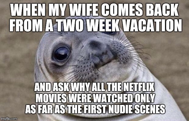 Awkward Moment Sealion Meme | WHEN MY WIFE COMES BACK FROM A TWO WEEK VACATION AND ASK WHY ALL THE NETFLIX MOVIES WERE WATCHED ONLY AS FAR AS THE FIRST NUDIE SCENES | image tagged in memes,awkward moment sealion | made w/ Imgflip meme maker