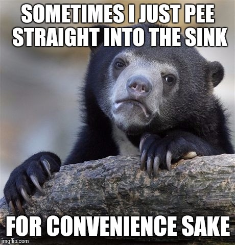 Confession Bear | SOMETIMES I JUST PEE STRAIGHT INTO THE SINK FOR CONVENIENCE SAKE | image tagged in memes,confession bear | made w/ Imgflip meme maker