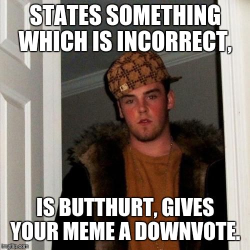 Scumbag Steve Meme | STATES SOMETHING WHICH IS INCORRECT, IS BUTTHURT, GIVES YOUR MEME A DOWNVOTE. | image tagged in memes,scumbag steve | made w/ Imgflip meme maker