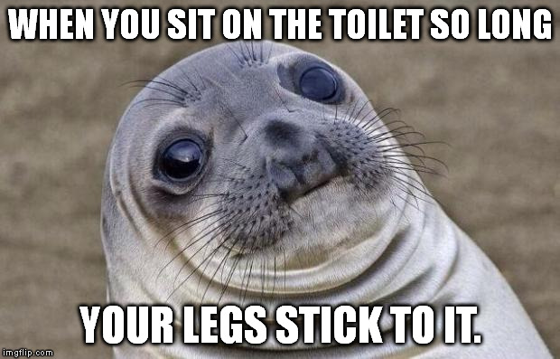 Awkward Moment Sealion Meme | WHEN YOU SIT ON THE TOILET SO LONG YOUR LEGS STICK TO IT. | image tagged in memes,awkward moment sealion | made w/ Imgflip meme maker