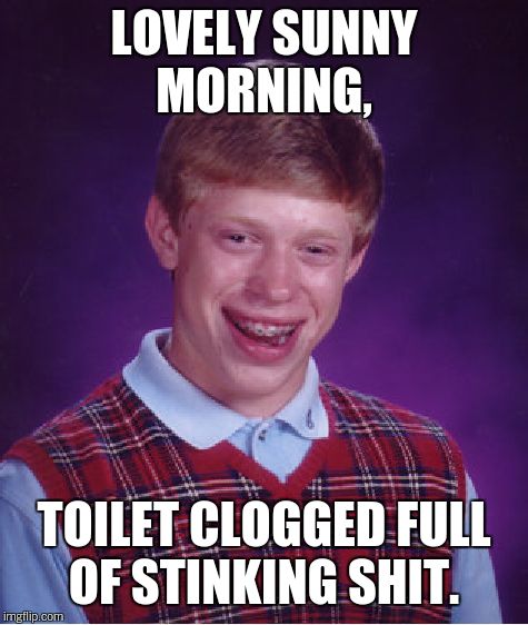 Bad Luck Brian Meme | LOVELY SUNNY MORNING, TOILET CLOGGED FULL OF STINKING SHIT. | image tagged in memes,bad luck brian | made w/ Imgflip meme maker