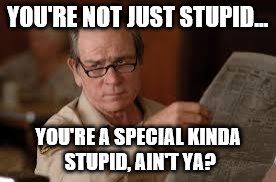 no country for old men tommy lee jones | YOU'RE NOT JUST STUPID... YOU'RE A SPECIAL KINDA STUPID, AIN'T YA? | image tagged in no country for old men tommy lee jones | made w/ Imgflip meme maker