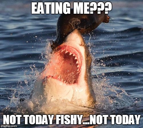 Travelonshark Meme | EATING ME??? NOT TODAY FISHY...NOT TODAY | image tagged in memes,travelonshark | made w/ Imgflip meme maker