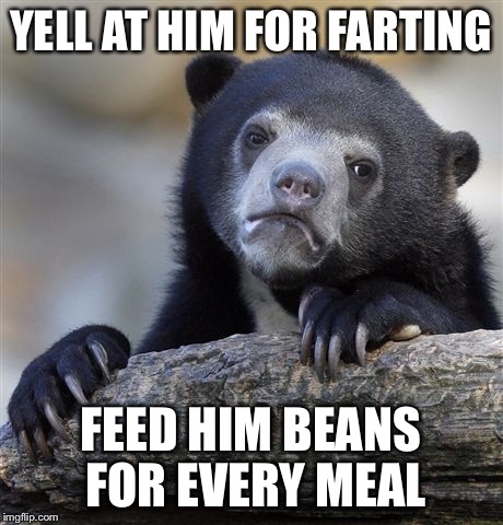 Confession Bear Meme | YELL AT HIM FOR FARTING FEED HIM BEANS FOR EVERY MEAL | image tagged in memes,confession bear | made w/ Imgflip meme maker