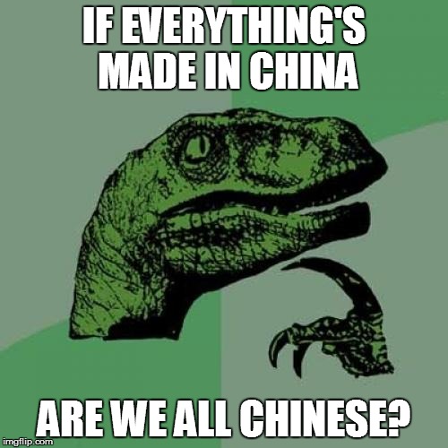 Philosoraptor | IF EVERYTHING'S MADE IN CHINA ARE WE ALL CHINESE? | image tagged in memes,philosoraptor | made w/ Imgflip meme maker