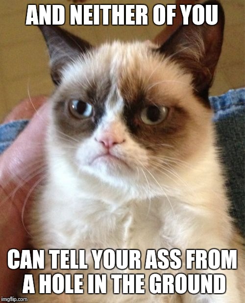 Grumpy Cat Meme | AND NEITHER OF YOU CAN TELL YOUR ASS FROM A HOLE IN THE GROUND | image tagged in memes,grumpy cat | made w/ Imgflip meme maker