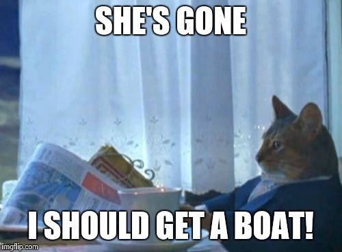 I Should Buy A Boat Cat Meme | SHE'S GONE I SHOULD GET A BOAT! | image tagged in memes,i should buy a boat cat | made w/ Imgflip meme maker