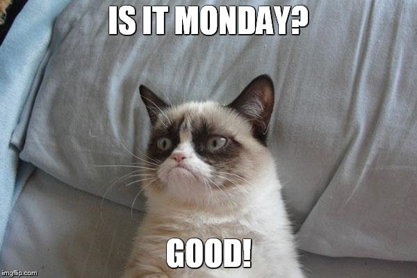 Grumpy Cat Bed | IS IT MONDAY? GOOD! | image tagged in memes,grumpy cat bed,grumpy cat | made w/ Imgflip meme maker