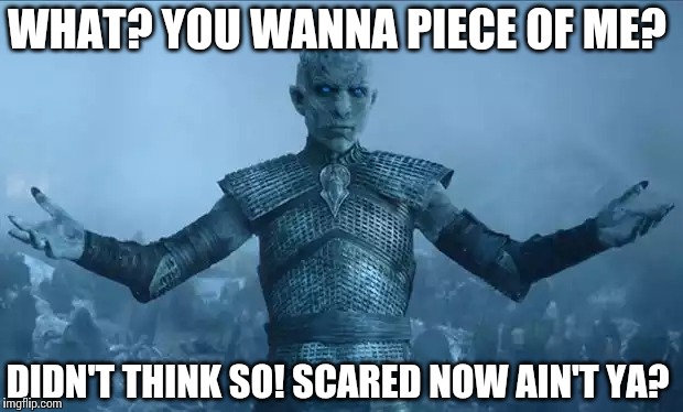 WHAT? YOU WANNA PIECE OF ME? DIDN'T THINK SO! SCARED NOW AIN'T YA? | image tagged in game of thrones,white walker | made w/ Imgflip meme maker