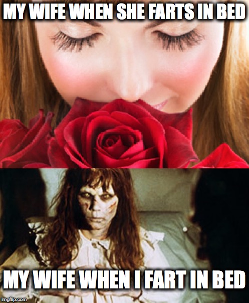 fart in bed | MY WIFE WHEN SHE FARTS IN BED MY WIFE WHEN I FART IN BED | image tagged in wife,fart,bed | made w/ Imgflip meme maker